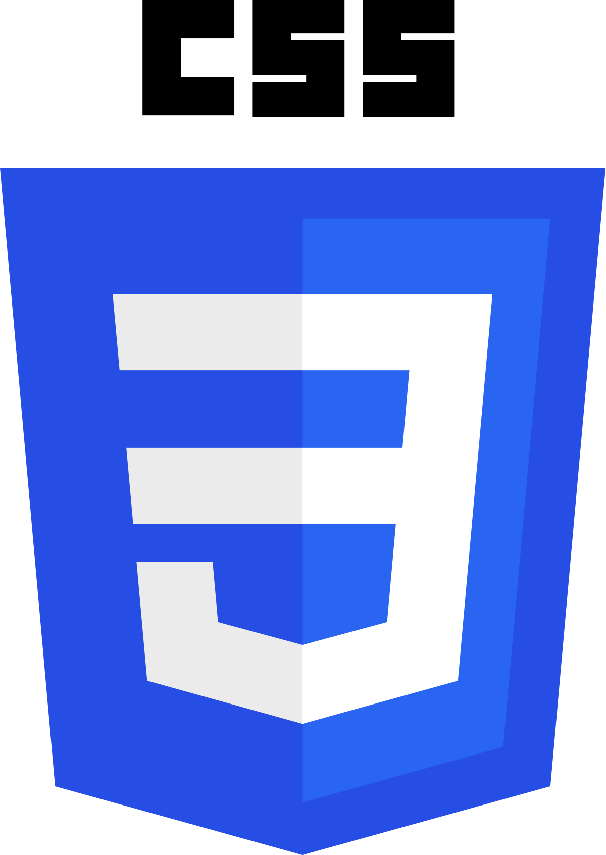 cssLogo